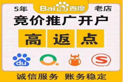 SEM代理服务：助力企业精准营销案例解析
